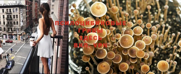МДПВ Балабаново
