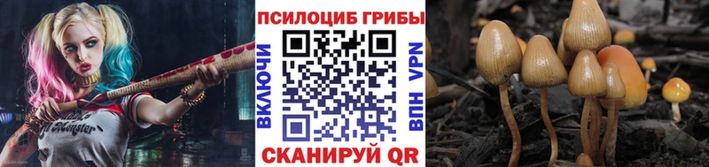 Купить где Горячеводский Галлюциногенные грибы ЛСД